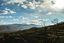 Tourist destination images of Otoshi Rice Terraces(4)