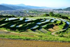 Tourist destination images of Otoshi Rice Terraces(5)