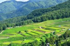 Tourist destination images of Otoshi Rice Terraces(6)