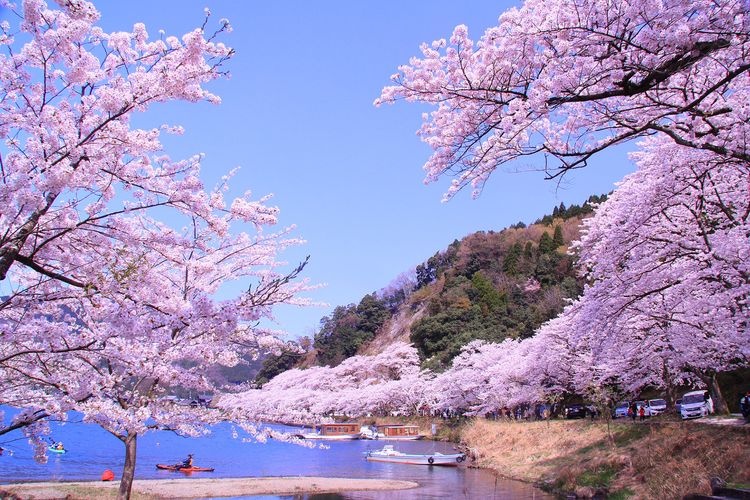 Kaitsu, Nishihama, and Chinu Waterfront Scenery in Takashima City