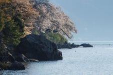 Tourist destination images of Kaitsu, Nishihama, and Chinu Waterfront Scenery in Takashima City(4)