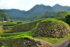 蕨野梯田的旅游景点图片(3)