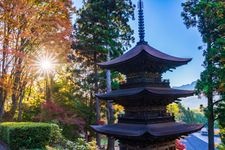 Tourist destination images of Daihouji Temple(3)