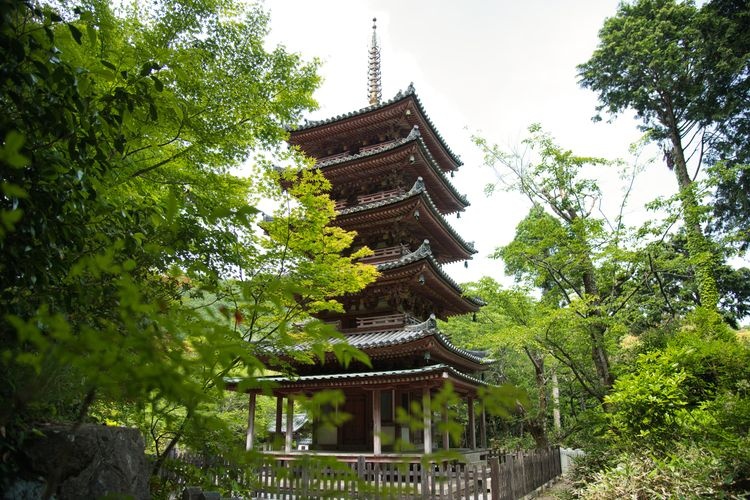 Kaijyusen-ji
