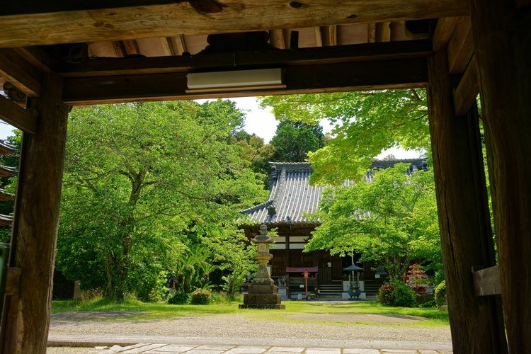 Kaijyusen-ji Temple