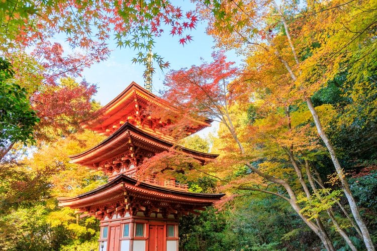 Tourist destination images of Joru-riji Temple(4)