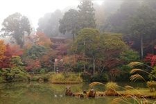 Tourist destination images of Joru-riji Temple(1)