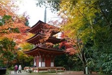 Tourist destination images of Joru-riji Temple(8)