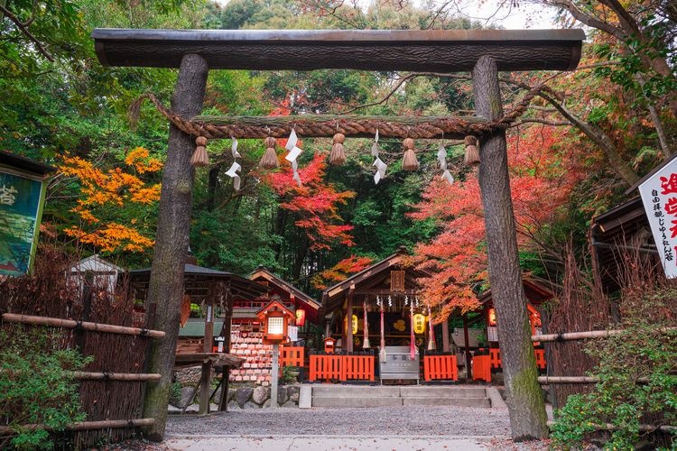 노미야 신사(野宮神社) 3