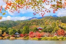 Tourist destination images of Daikaku-ji Temple(1)