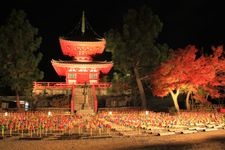 Tourist destination images of Daikaku-ji Temple(1)