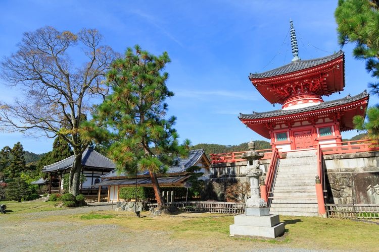 Tourist destination images of Daikaku-ji Temple(2)