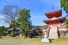 Tourist destination images of Daikaku-ji Temple(2)