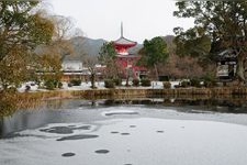 Tourist destination images of Daikaku-ji Temple(3)