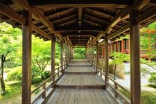 Tourist destination images of Daikaku-ji Temple(4)