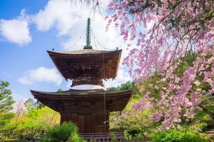 Jojakko-ji Temple