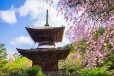 Tourist destination images of Jojakko-ji Temple(1)