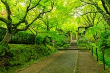 Tourist destination images of Jojakko-ji Temple(4)