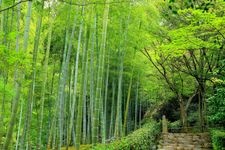 Tourist destination images of Jojakko-ji Temple(6)