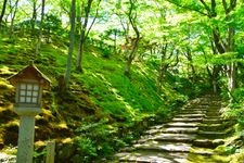 Tourist destination images of Jojakko-ji Temple(8)