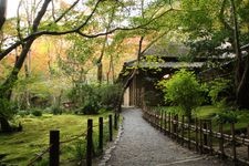 Tourist destination images of Giouji Temple(2)