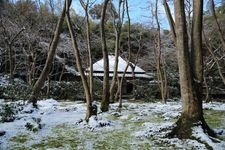 Tourist destination images of Giouji Temple(4)