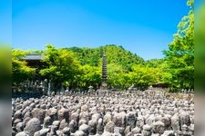 Tourist destination images of Adashino Nenbutsu-ji Temple(2)