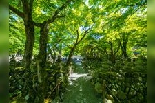 Tourist destination images of Adashino Nenbutsu-ji Temple(5)