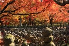 Tourist destination images of Adashino Nenbutsu-ji Temple(6)