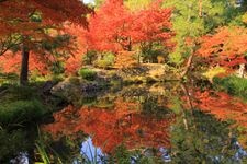 Tourist destination images of Tojiin Temple(3)