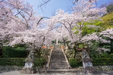 Tourist destination images of Kenkun Shrine(4)