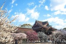 北野天満宮の観光地画像(4)