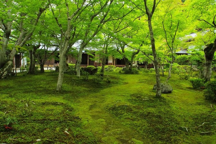 Enkouji Temple