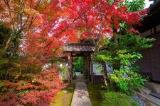 Tourist destination images of Tofuku-ji Temple(3)