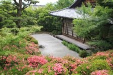 Tourist destination images of Tofuku-ji Temple(6)