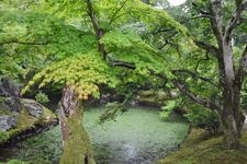 Tourist destination images of Shugakuin Imperial Villa(2)