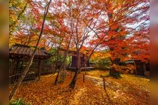 Tourist destination images of Rengeji Temple(3)