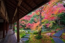 Tourist destination images of Rengeji Temple(6)