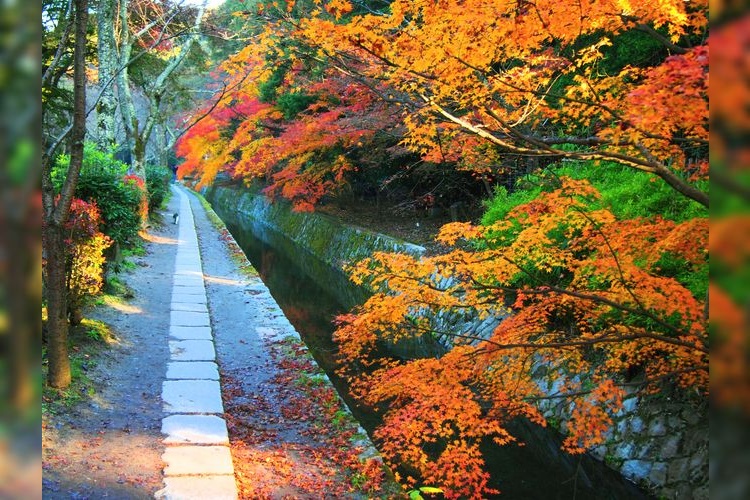 Tourist destination images of Philosopher's Path(2)