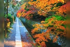 Tourist destination images of Philosopher's Path(2)
