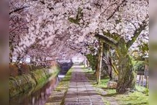 Tourist destination images of Philosopher's Path(3)