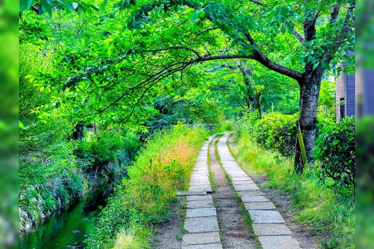 Tourist destination images of Philosopher's Path(4)