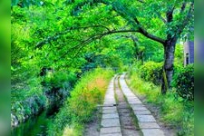 Tourist destination images of Philosopher's Path(4)