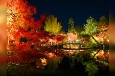Tourist destination images of Zenrinji Temple (Eikando)(1)