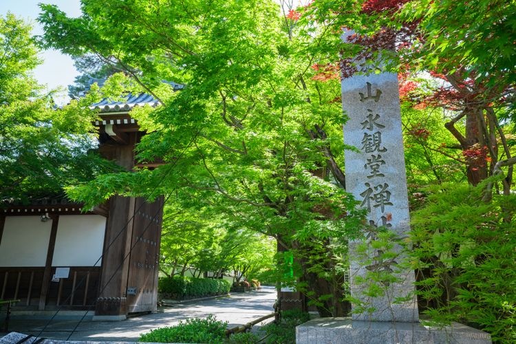 Tourist destination images of Zenrinji Temple (Eikando)(3)