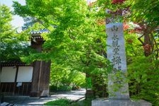 Tourist destination images of Zenrinji Temple (Eikando)(3)
