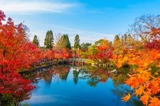 Tourist destination images of Zenrinji Temple (Eikando)(2)