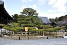 Tourist destination images of Konkai Komyo-ji Temple(4)