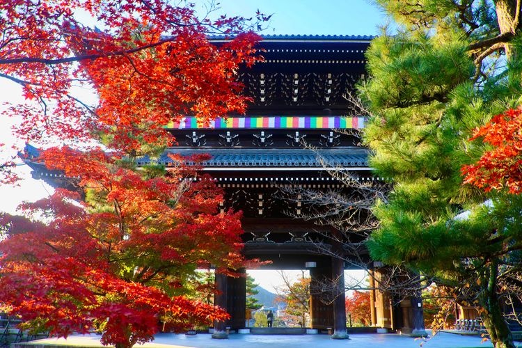긴카이코묘지 (Kinkai Komyoji) 2