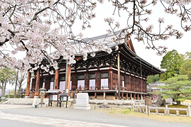 긴카이코묘지 (Kinkai Komyoji) 3